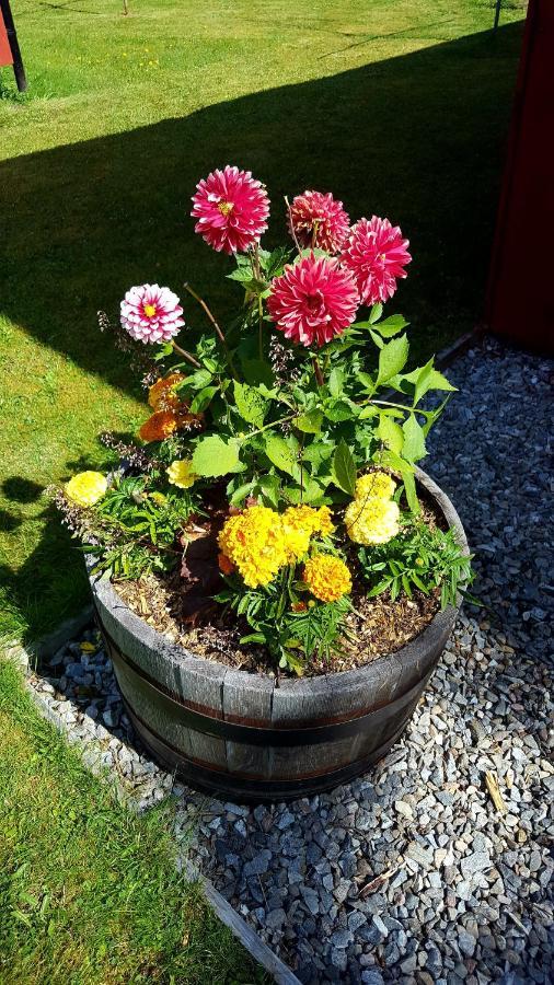 Torcroft Lodges Drumnadrochit Bagian luar foto