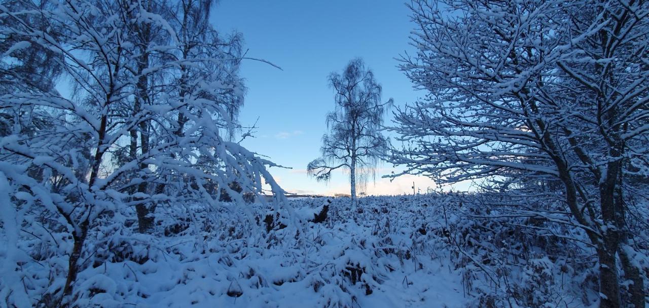 Torcroft Lodges Drumnadrochit Bagian luar foto