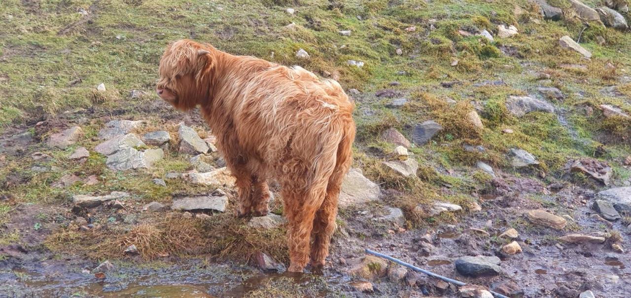 Torcroft Lodges Drumnadrochit Bagian luar foto
