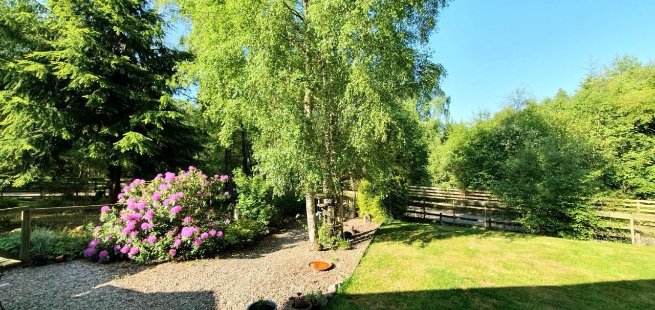Torcroft Lodges Drumnadrochit Bagian luar foto