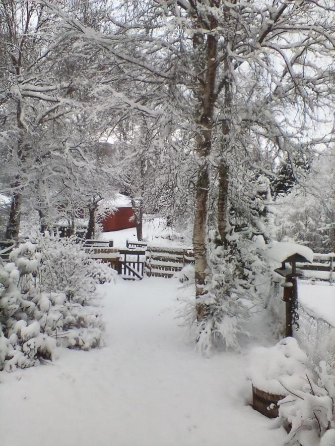 Torcroft Lodges Drumnadrochit Bagian luar foto