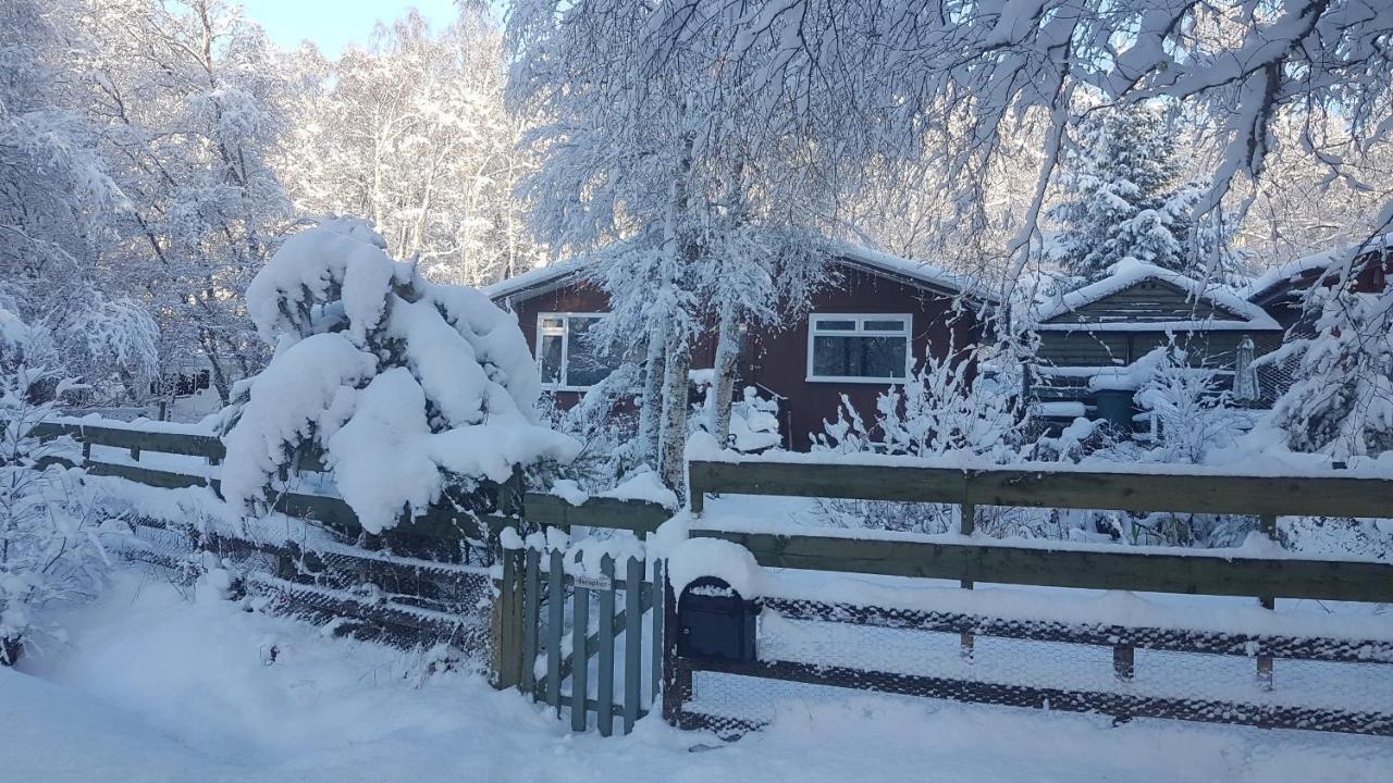 Torcroft Lodges Drumnadrochit Bagian luar foto