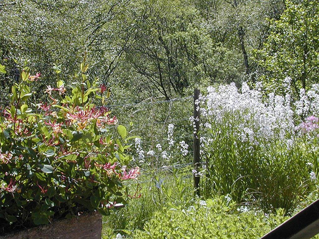 Torcroft Lodges Drumnadrochit Bagian luar foto