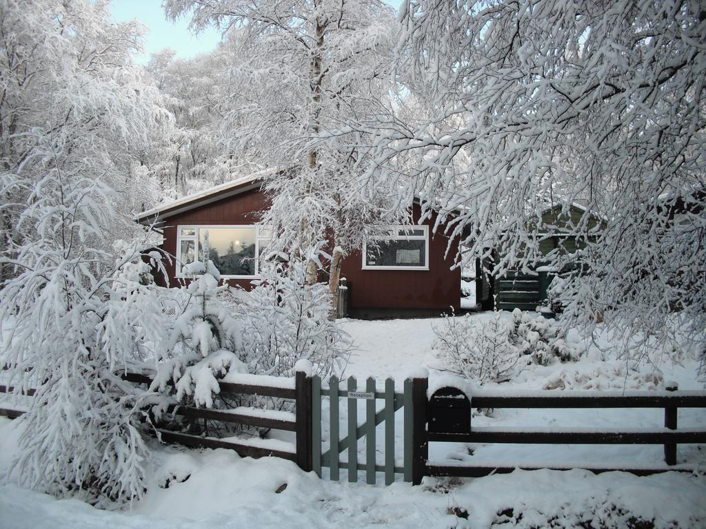 Torcroft Lodges Drumnadrochit Ruang foto